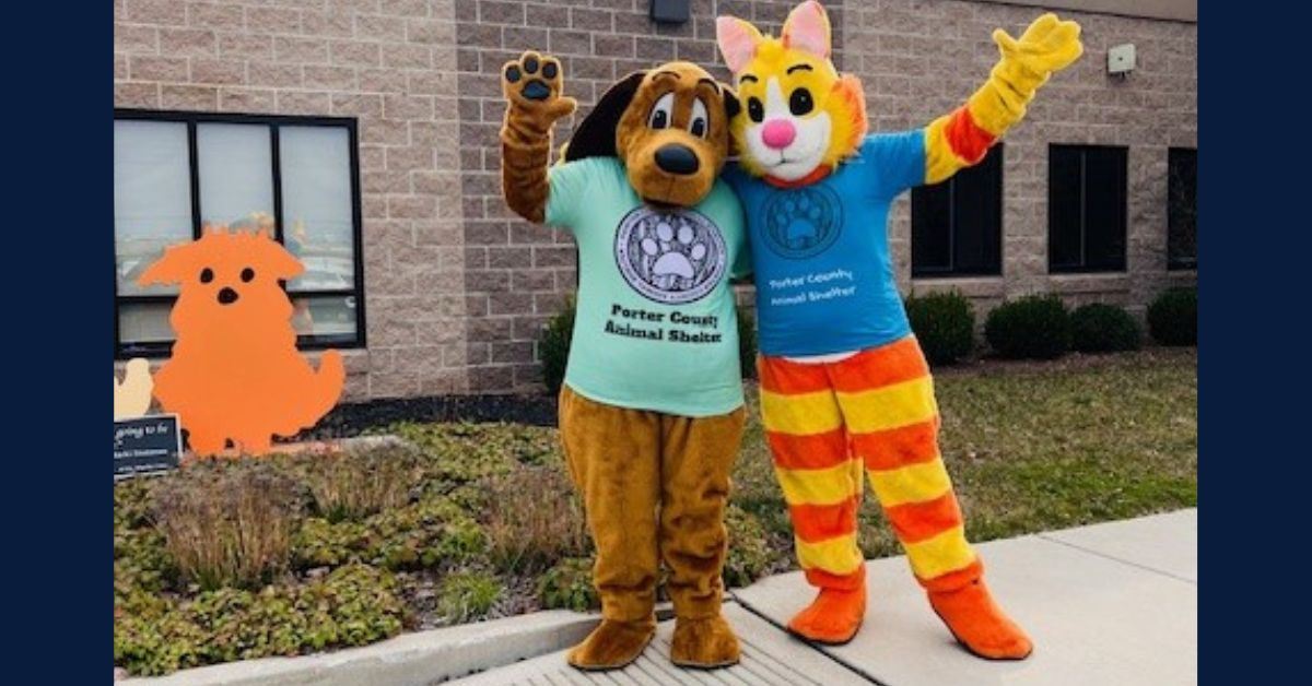 Feature-image-chain-127-5